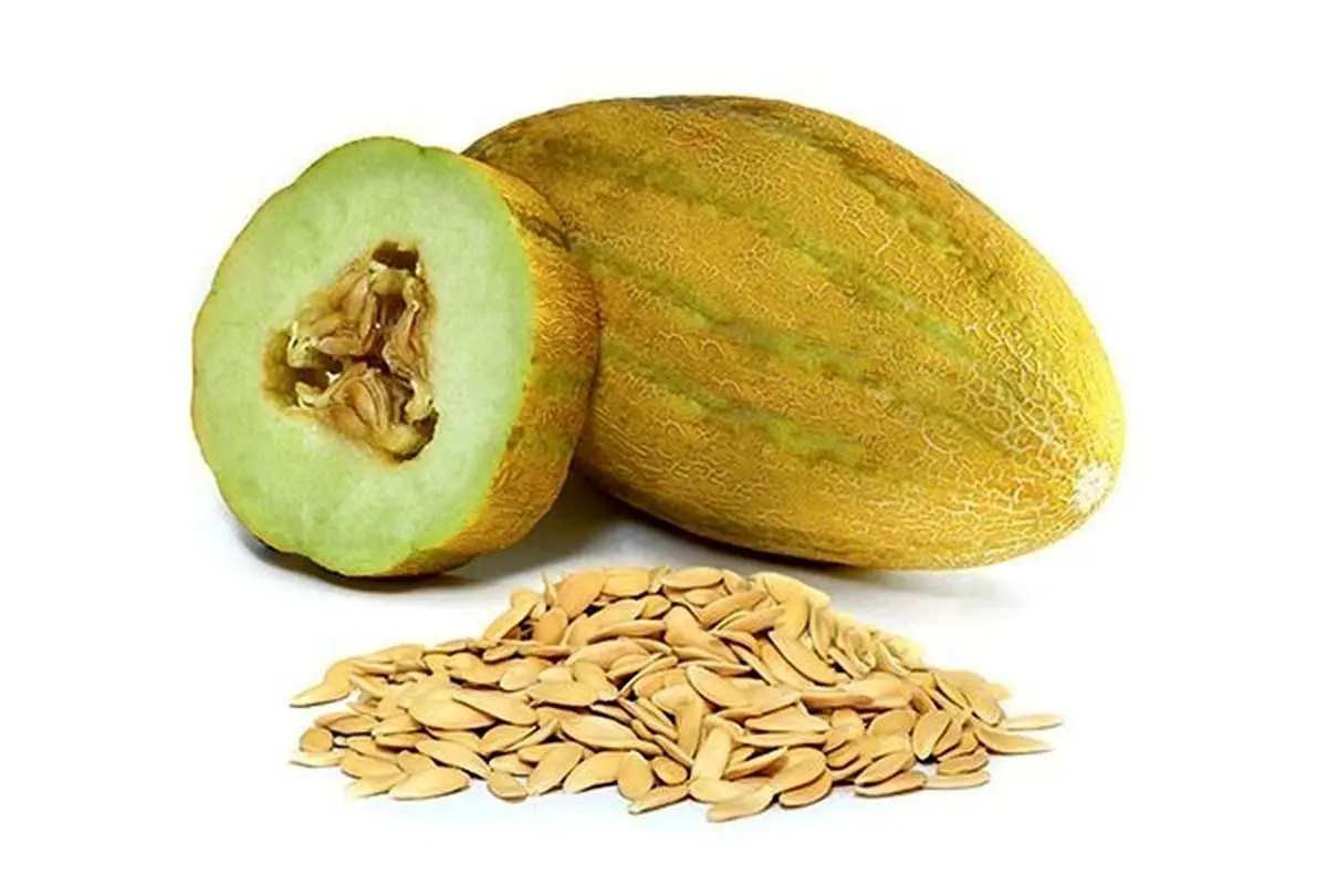 فواید معجزه‌آسای تخم خربزه برای سلامتی