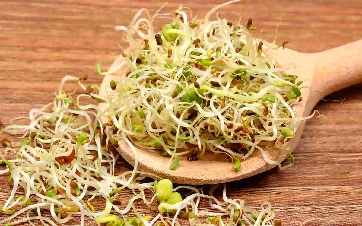 تاثیر شگفت‌انگیز این خوراکی بر بهبود کبد چرب