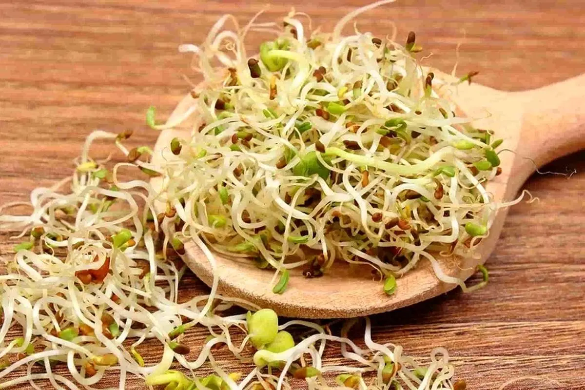 تاثیر شگفت‌انگیز این خوراکی بر بهبود کبد چرب
