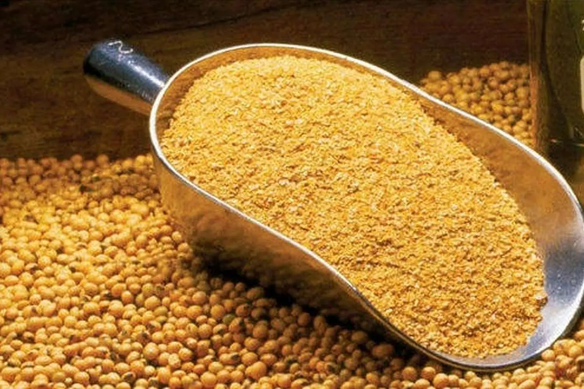 کنجاله نایاب شد