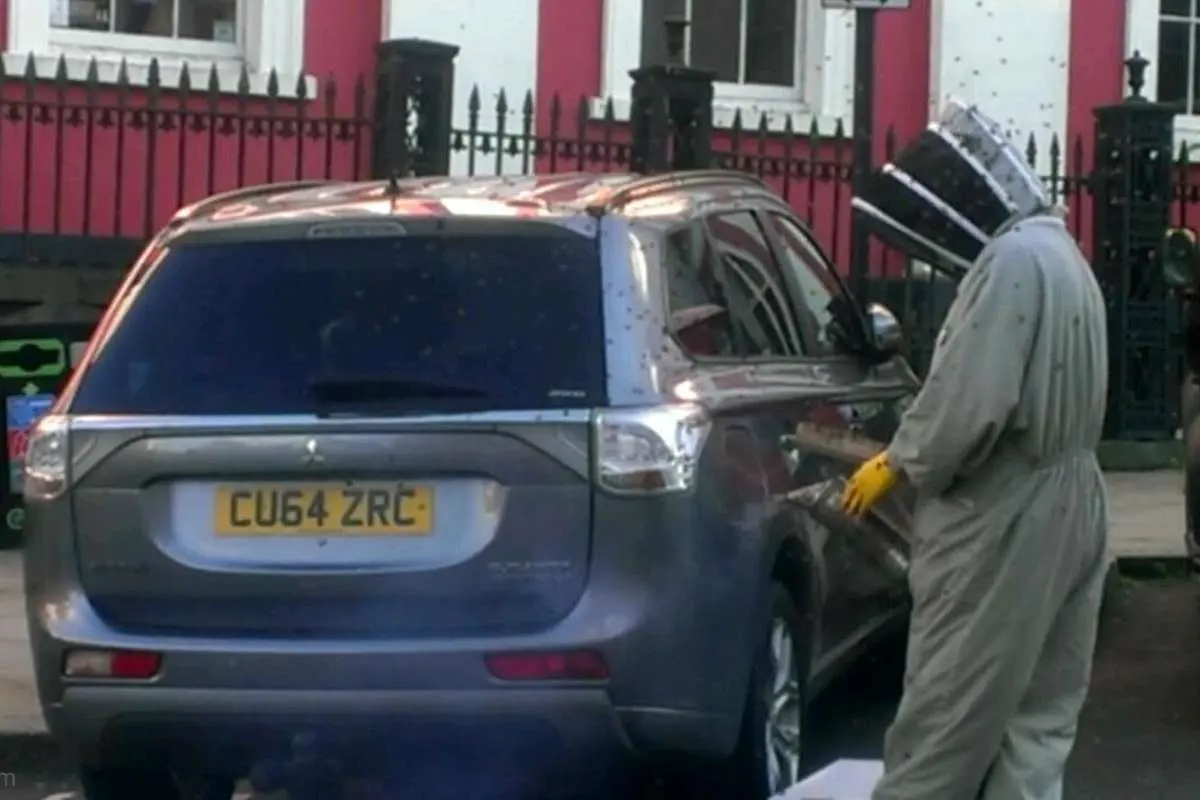 (تصاویر) ۴۸ ساعت تعقیب یک خودرو توسط ۲۰ هزار زنبور عسل!