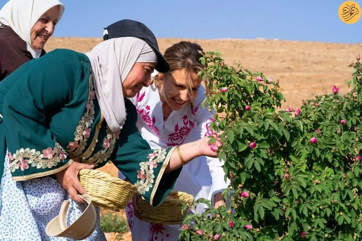 (ویدئو) اسماء اسد در مراسم برداشت گل رز