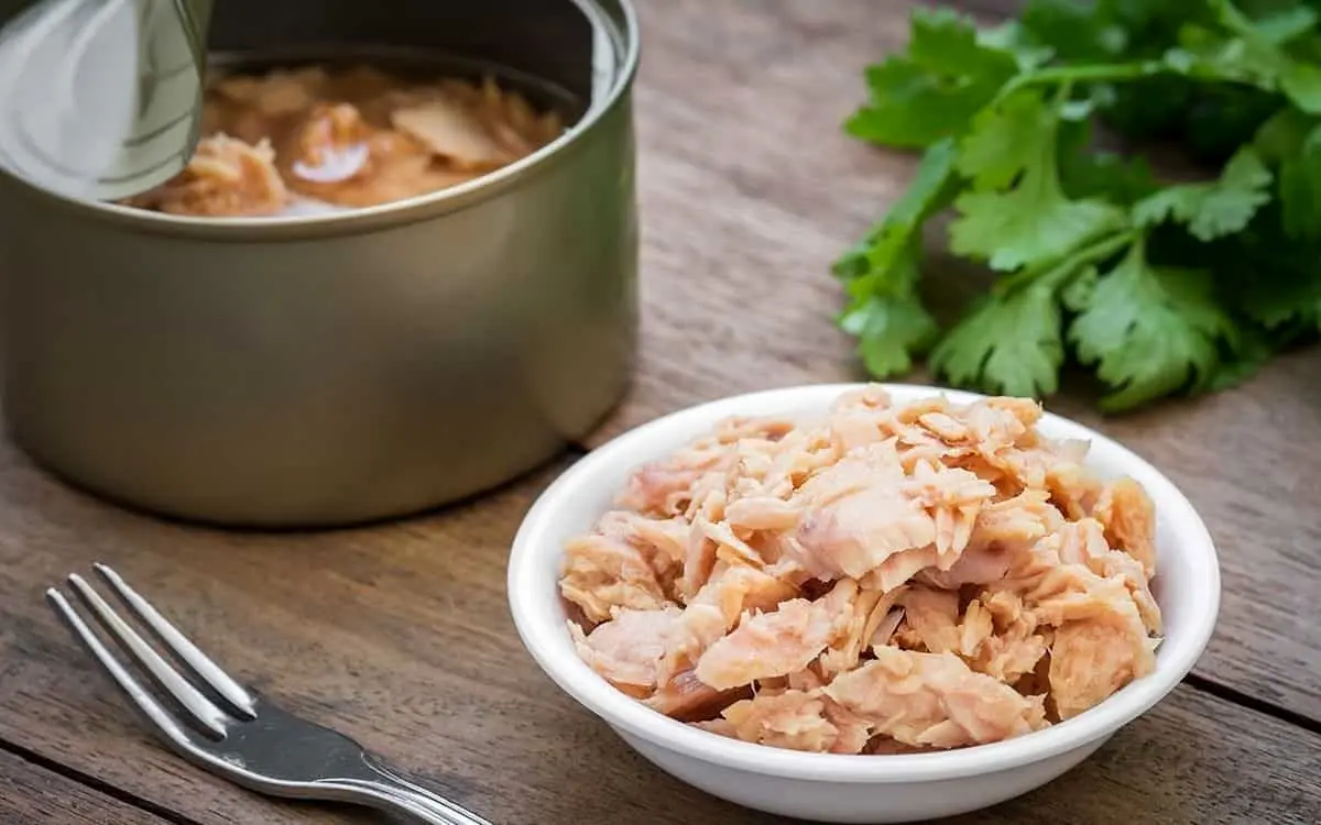 افزایش ۱۲۰ درصدی قیمت ماهی کنسروی/ کمیاب شدن کنسرو ماهی ۱۸۰ گرمی