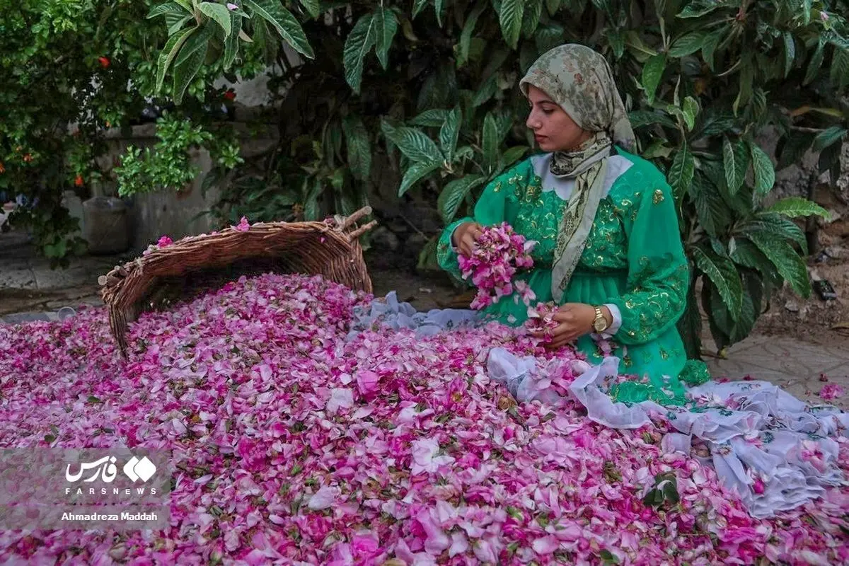 (تصاویر) دشتِ گلِ لایزَنْگان داراب