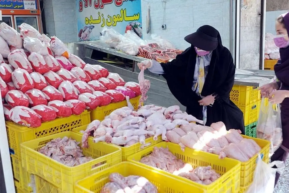 چرا مرغهای آلوده بلاروسی جنجالی شد؟