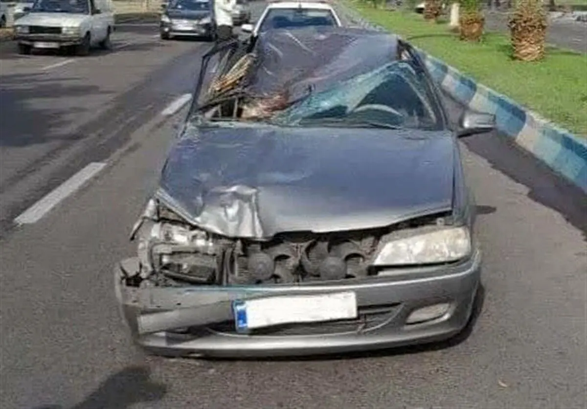 (تصاویر) تصادف پژو با اسب؛ راننده فوت کرد