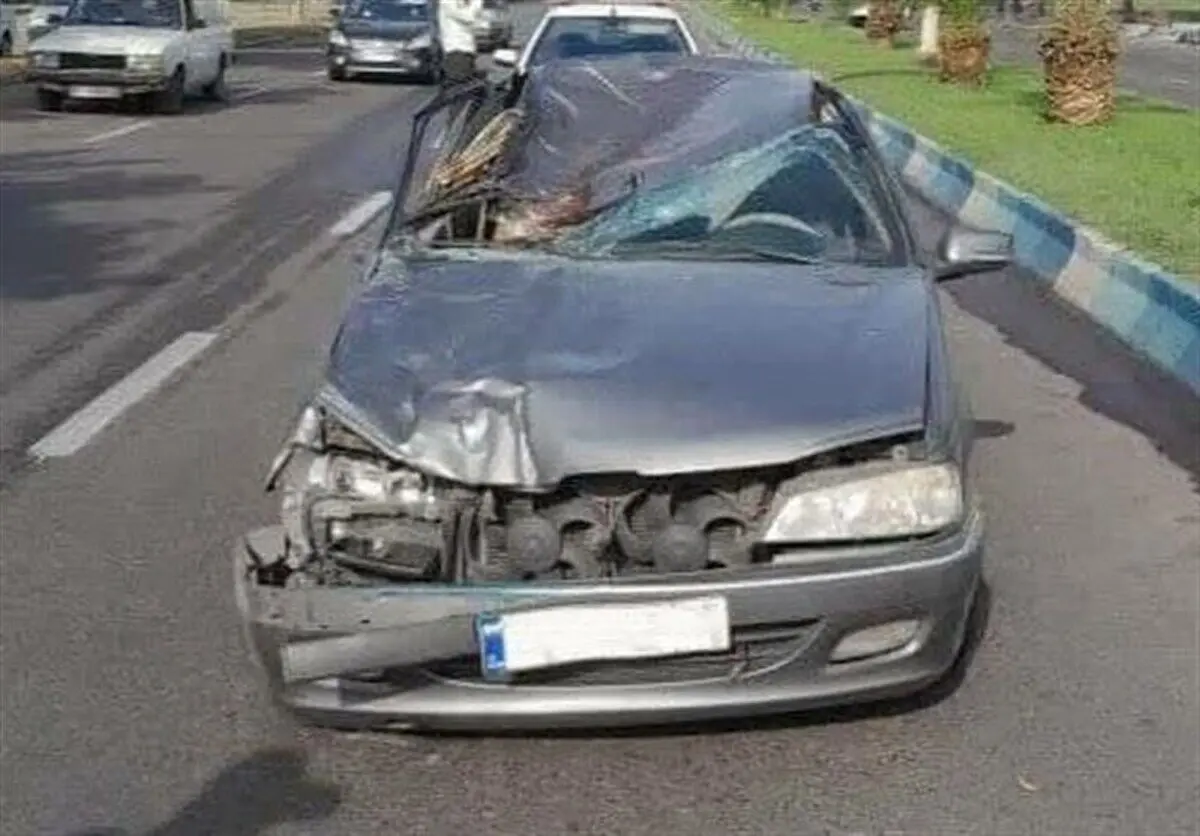 (تصاویر) تصادف پژو با اسب؛ راننده فوت کرد