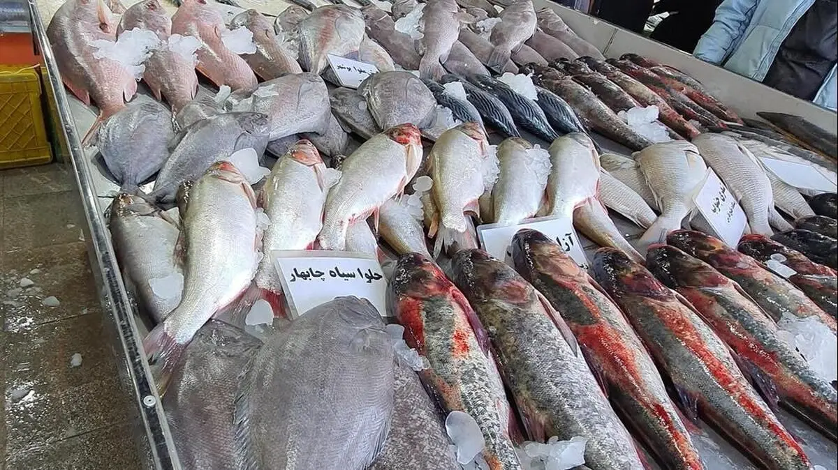 انفجار قیمت ماهی در بازار