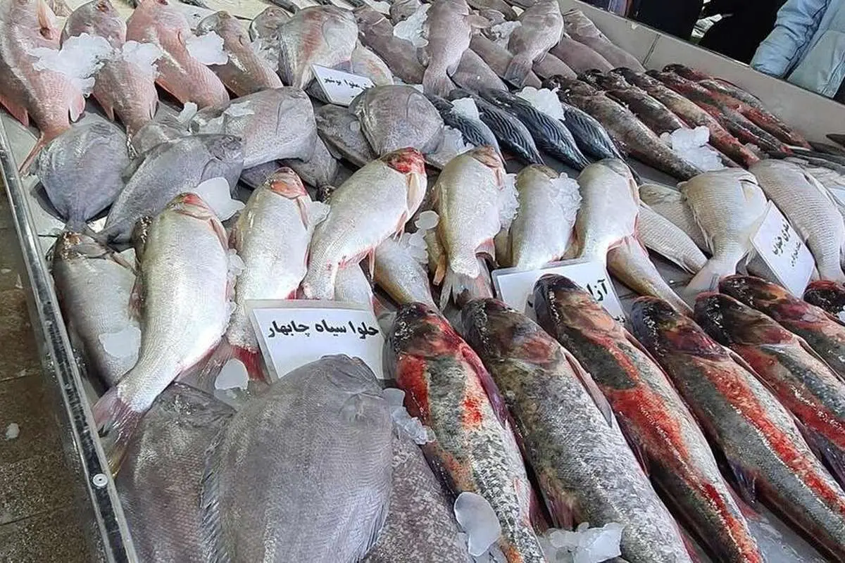 انفجار قیمت ماهی در بازار