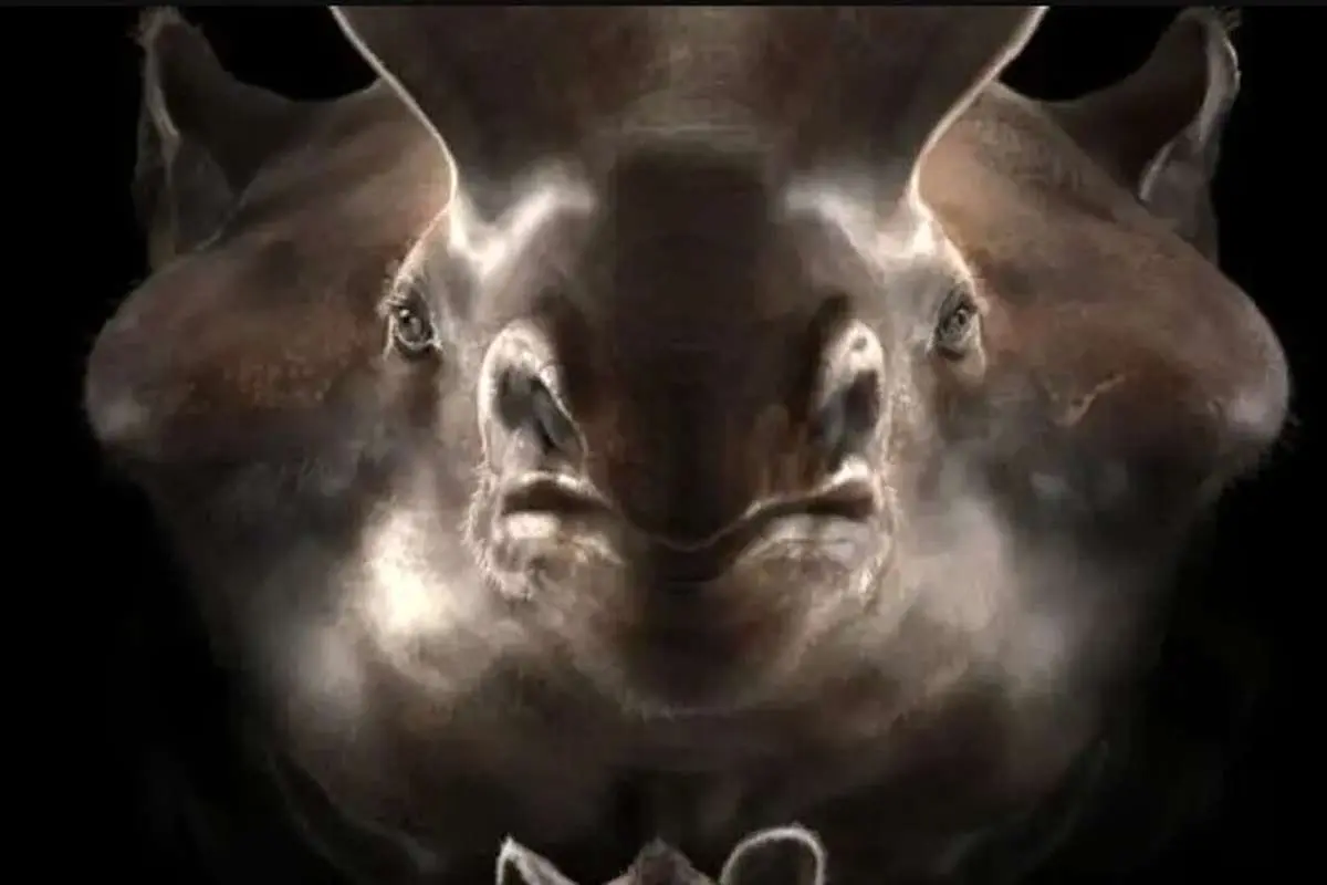 کشف شواهد شگفت‌انگیز درباره «حیوان رعدآسا»