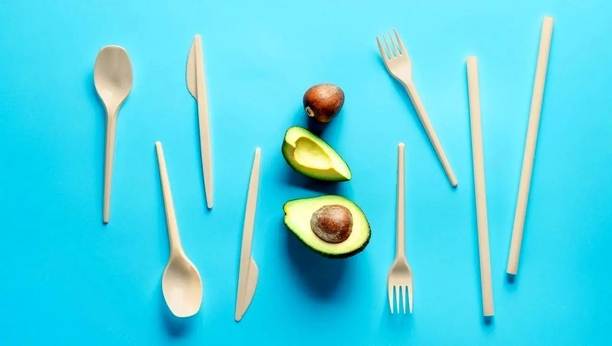 (ویدئو) پتنت فناوری شرکت مکزیکی برای متفاوت‌ترین استفاده از هسته آووکادو در جهان!