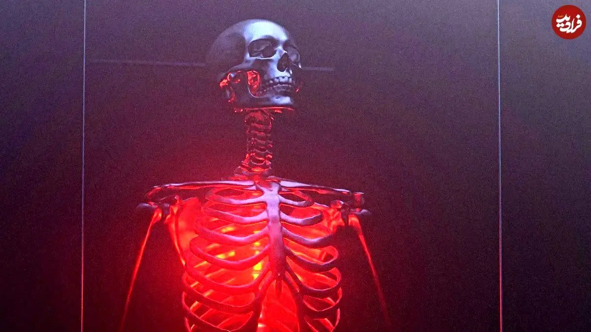 اعتراف‌گیری با اسکلت! عجیب‌ترین ایدۀ پلیسی در آمریکا