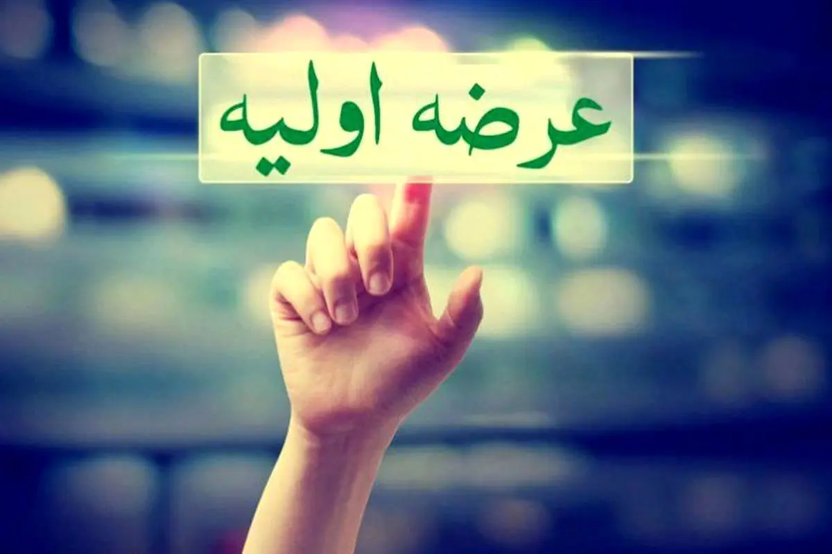 جزییات عرضه اولیه «والماس»/ نگاهی به صورت‌های مالی و پرتفوی آن