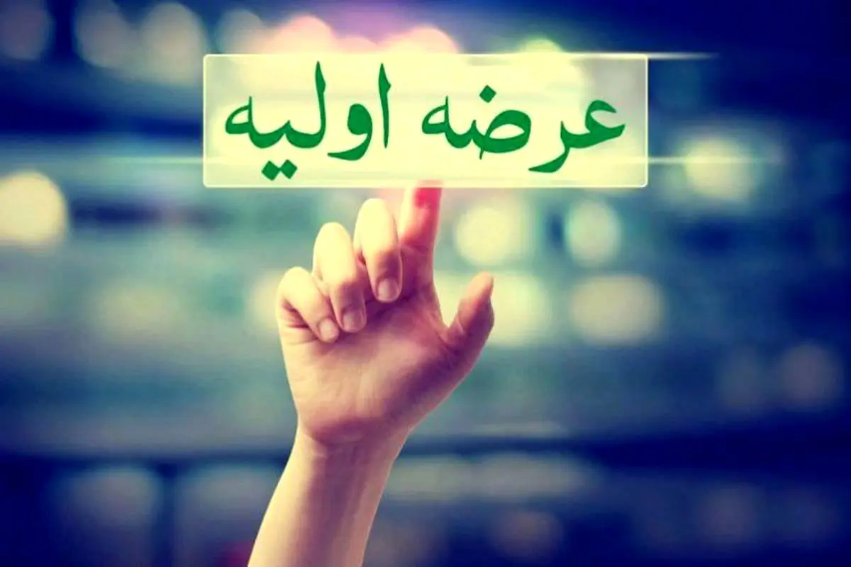 جزییات عرضه اولیه «والماس»/ نگاهی به صورت‌های مالی و پرتفوی آن