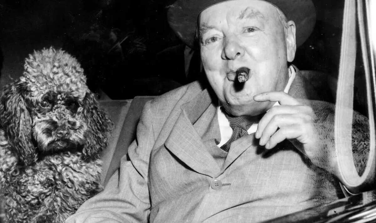 نصفِ سیگار چرچیل، به فروش می‌رسد