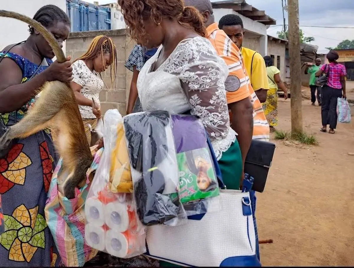 (تصاویر) از پانگولین تا جوجه تیغی؛ نامتعارف‌ترین گوشت‌هایی که زندگی میلیون‌ها نفر به آن بسته است!