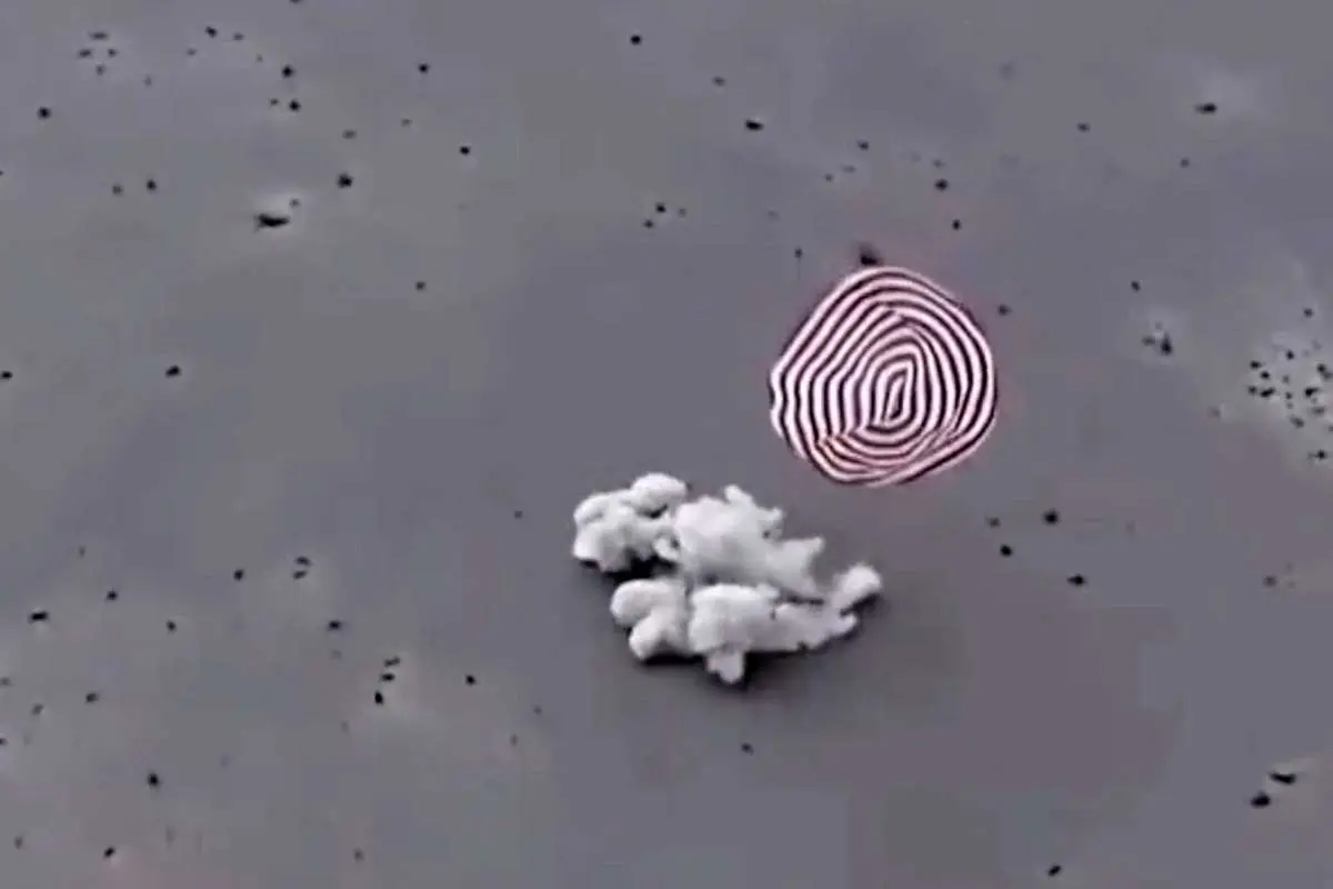 (ویدئو) بازگشت شنژو به زمین
