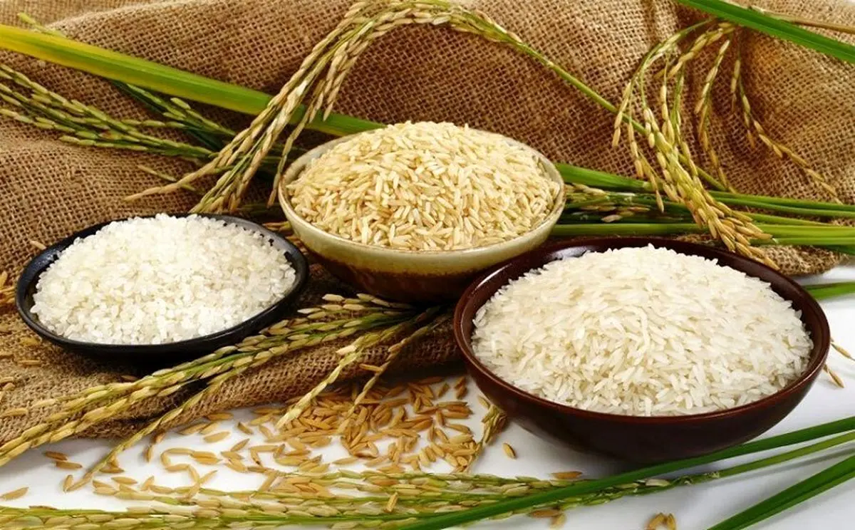 جدیدترین قیمت برنج ایرانی و خارجی کیلویی چند؟ + جدول