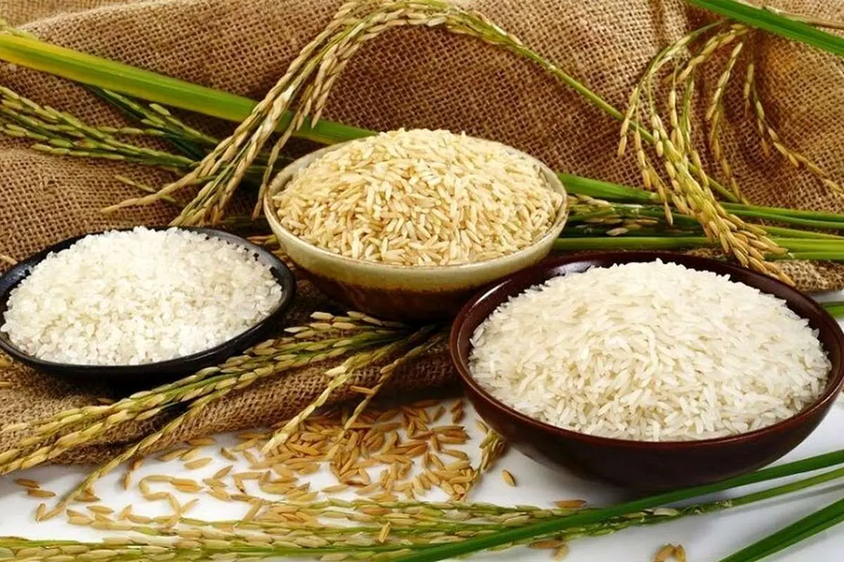 جدیدترین قیمت برنج ایرانی و خارجی کیلویی چند؟ + جدول