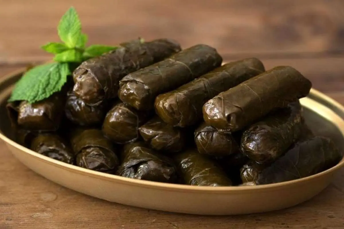بهترین برگ مو برای دلمه برگ انگور