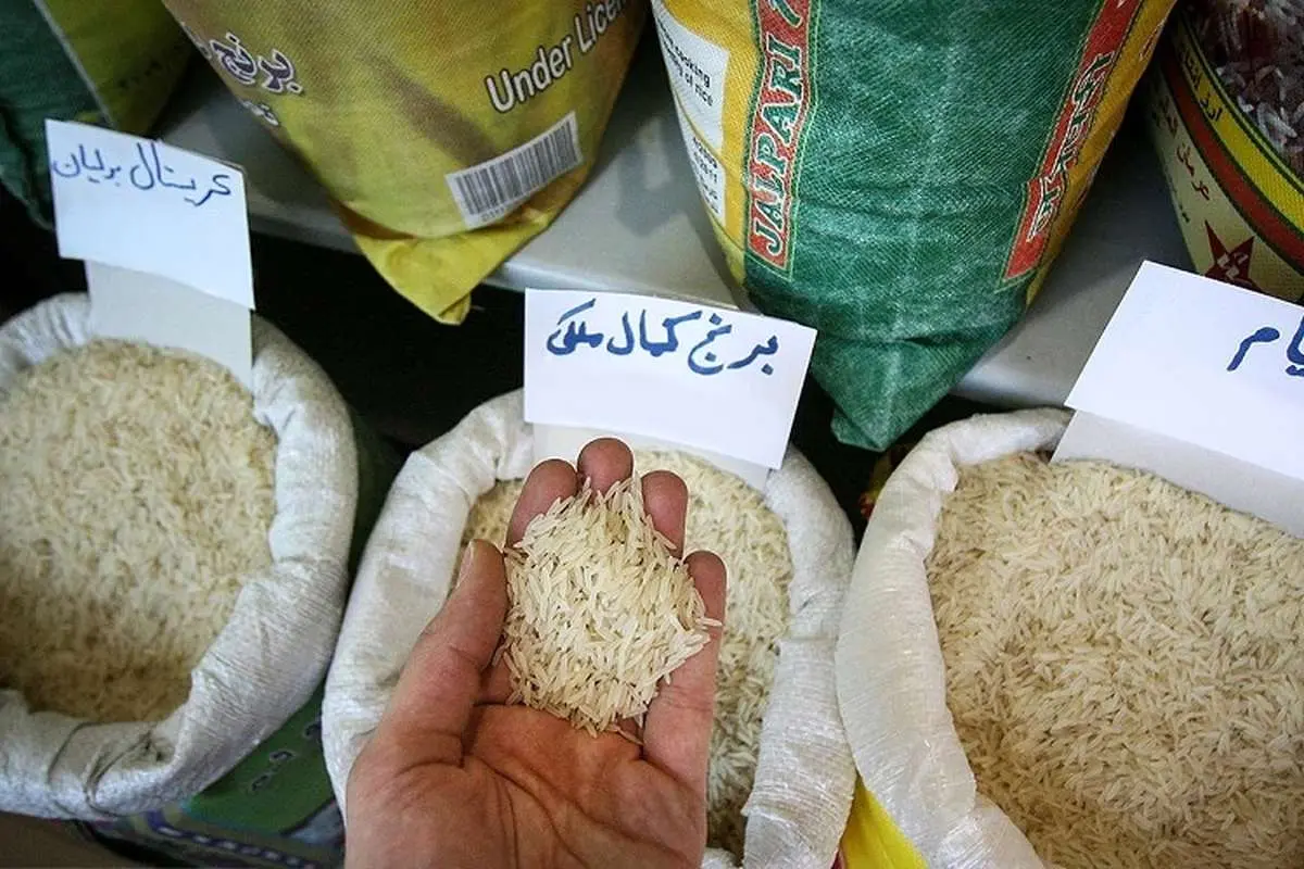 گرانفروشی برنج ایرانی برای توجیه واردات! / قیمت واقعی برنج ایرانی اعلام نمیشود
