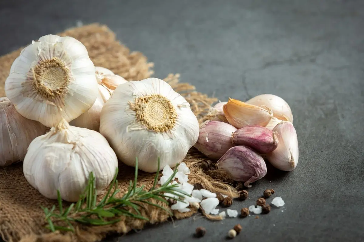 ۱۲ راهکار عالی برای رفع بوی سیر و پیاز در دهان