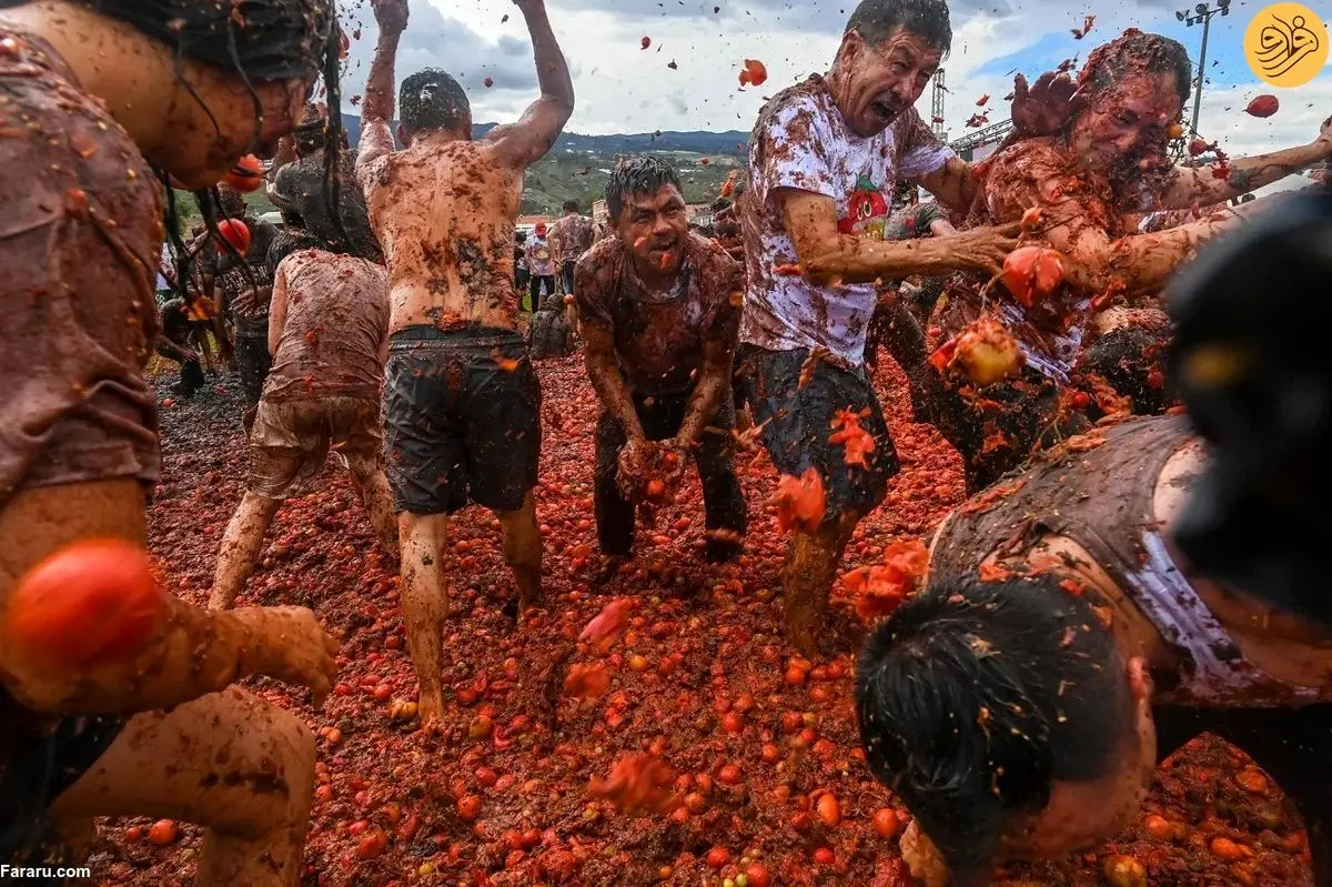 (تصاویر) جشنواره مبارزه با گوجه فرنگی در کلمبیا