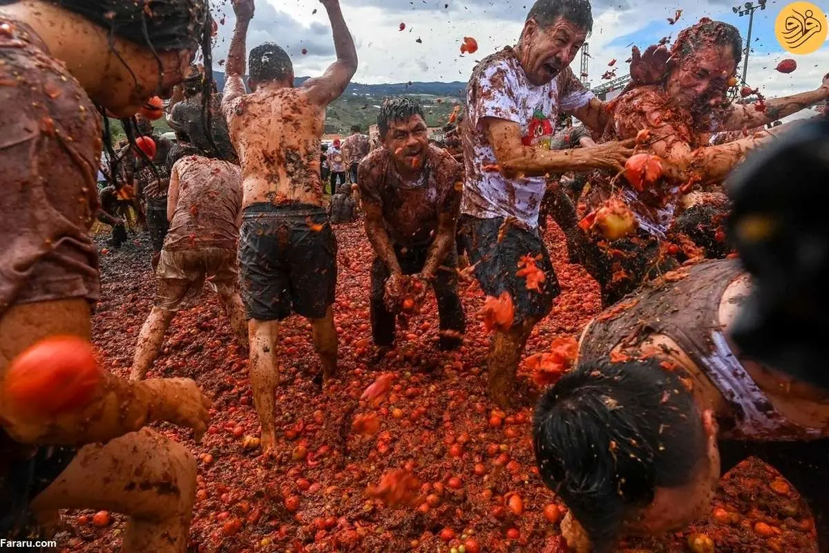 (تصاویر) جشنواره مبارزه با گوجه فرنگی در کلمبیا
