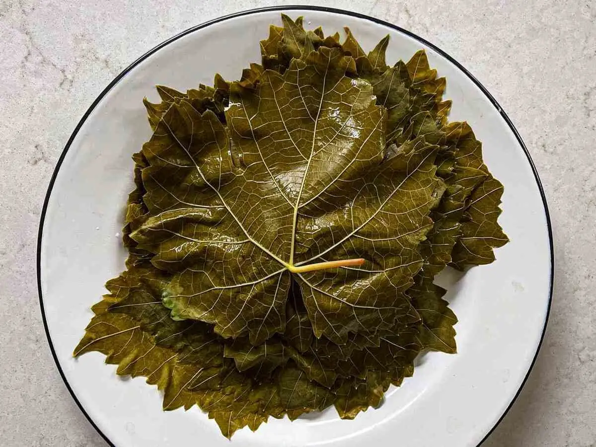 ۱۷ خاصیت بی‌نظیر برگ انگور برای سلامتی