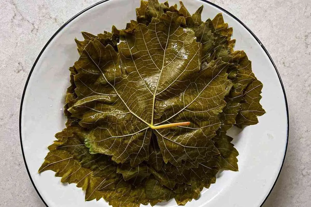 ۱۷ خاصیت بی‌نظیر برگ انگور برای سلامتی