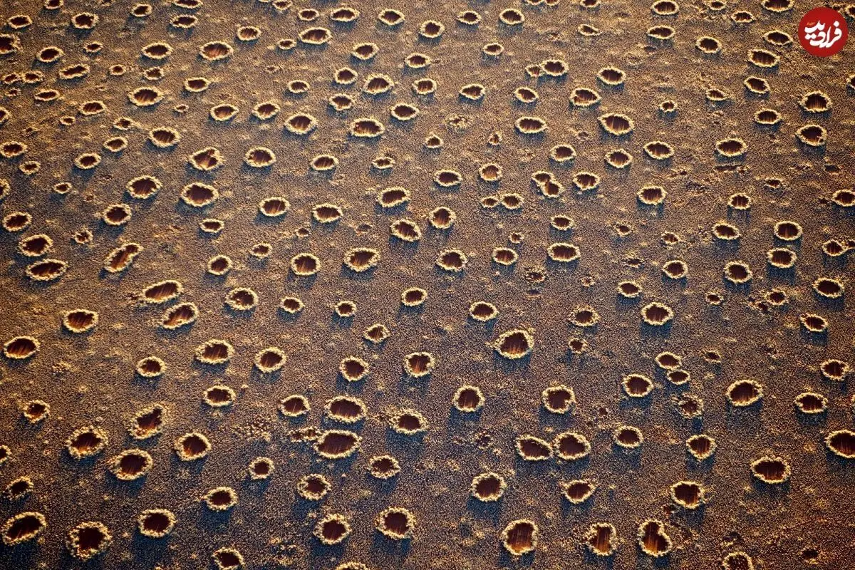 (تصاویر) رمز و راز «حلقه‌های ارواح» در صحرا‌های جهان