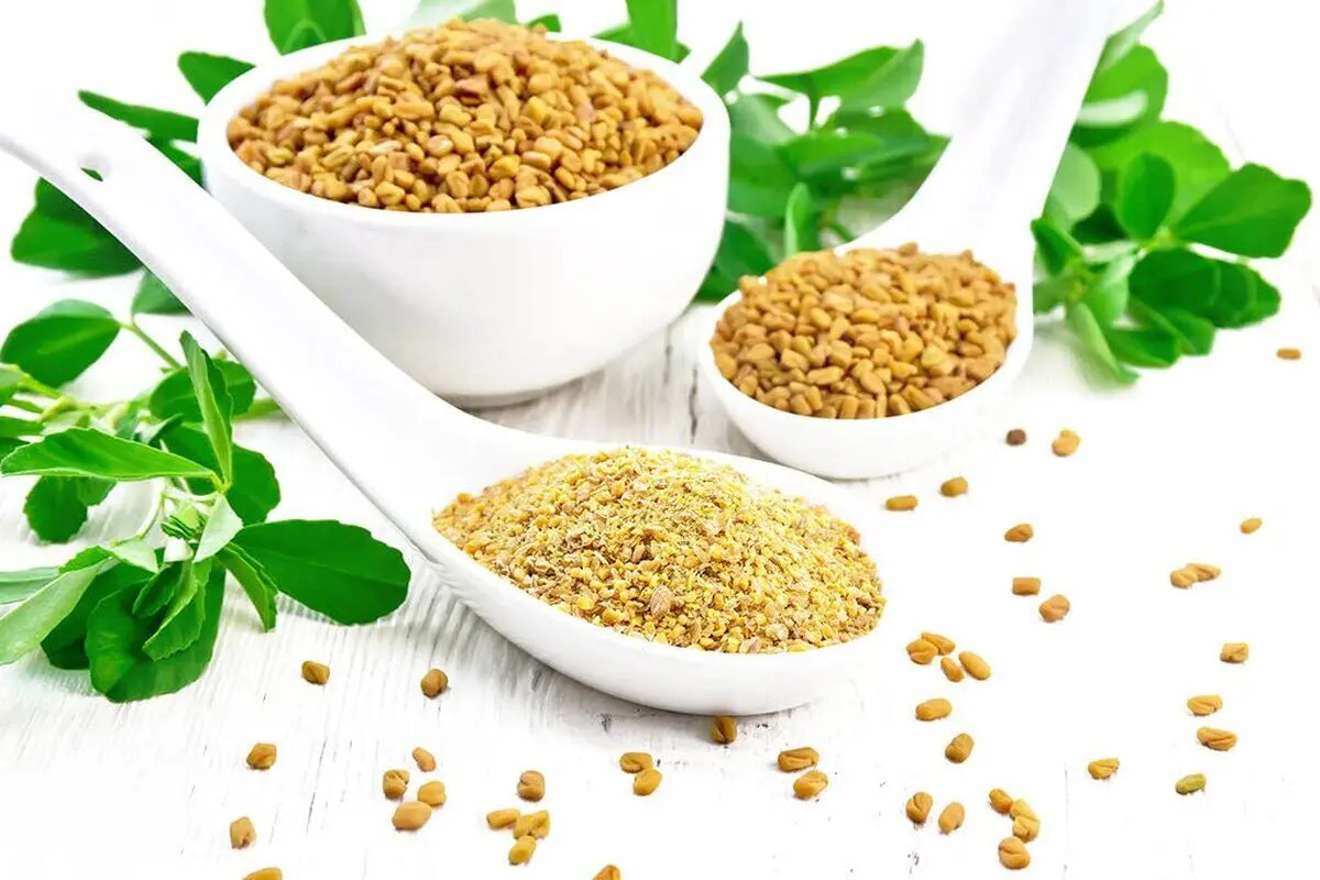 این گیاه دیابت را بهتر از انسولین درمان می‌کند