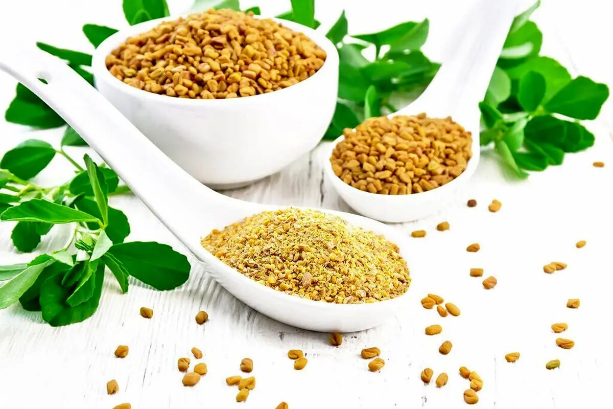 این گیاه دیابت را بهتر از انسولین درمان می‌کند