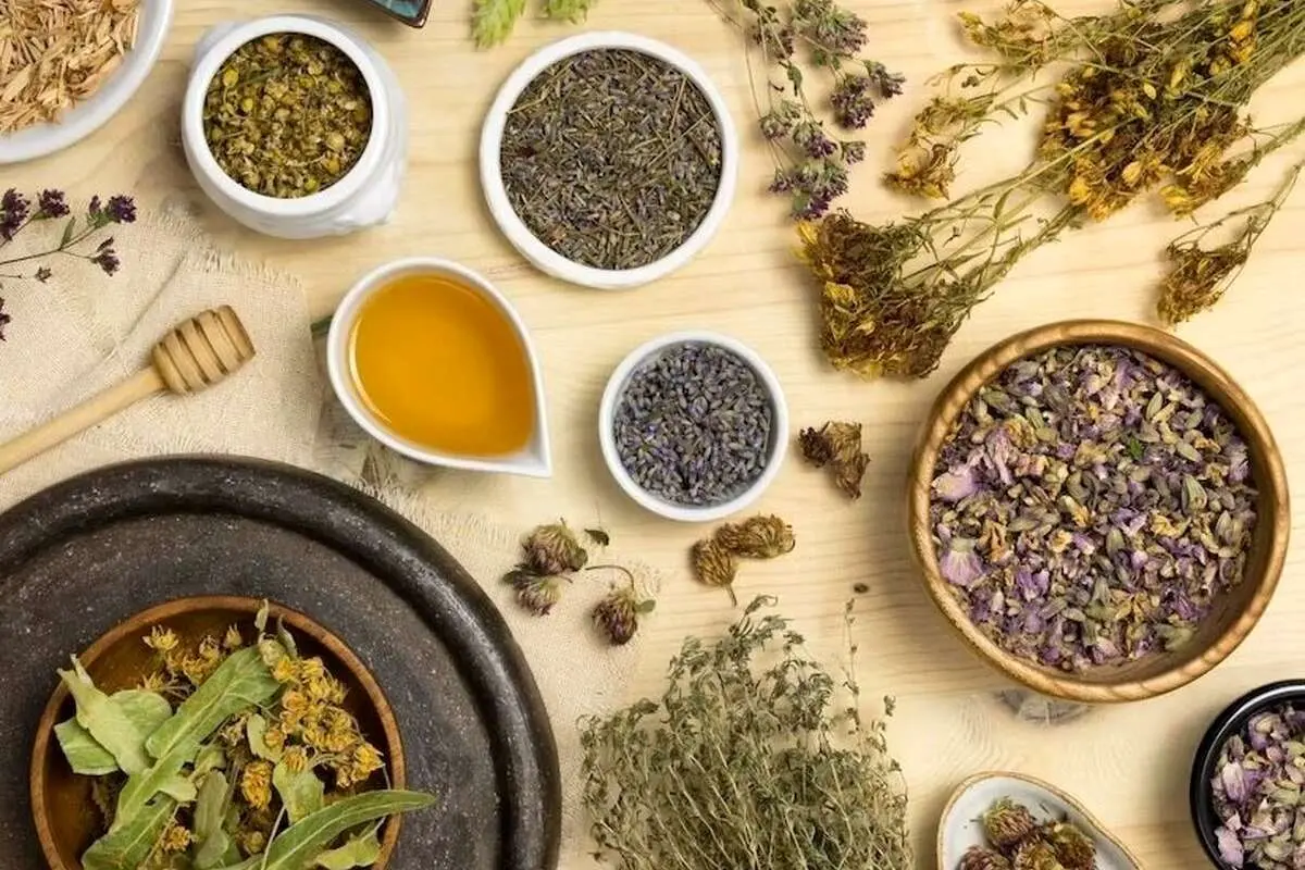 معجزه مصرف این گیاه برای درمان یبوست