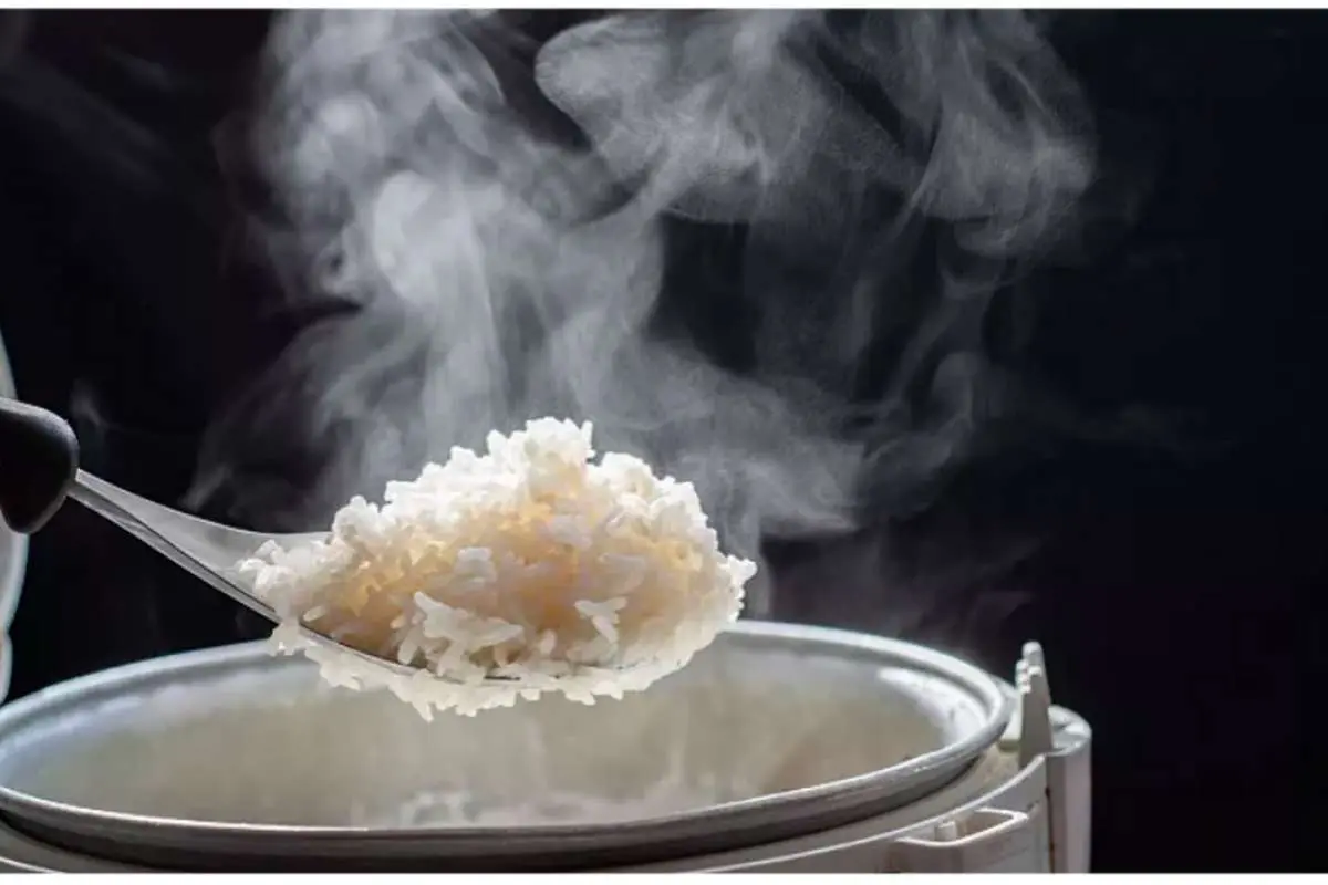 پاسخ محققان به یک سوال؛ آیا برنج را قبل از پخت باید شست یا نه؟