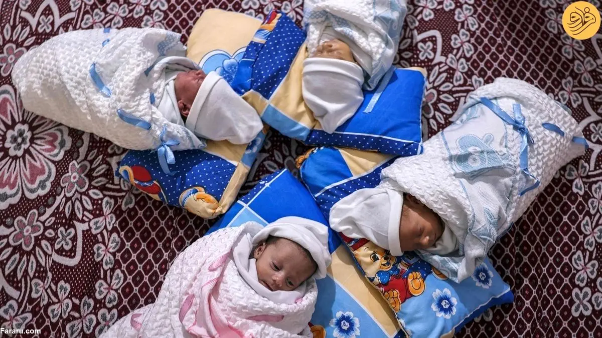 (ویدئو) چهارقلوزایی زن فلسطینی از طریق «اسپرم قاچاق»