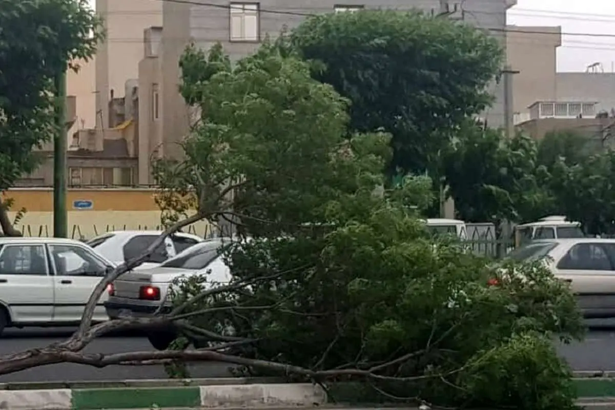 احتمال وقوع تندباد لحظهای در تهران/ کاهش نسبی دما تا یکشنبه