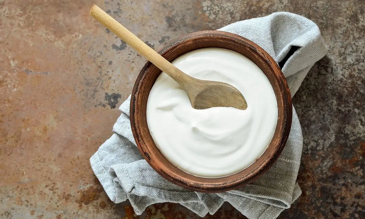بهترین زمان خوردن ماست برای لاغری/ ماست را اینگونه مصرف کنید