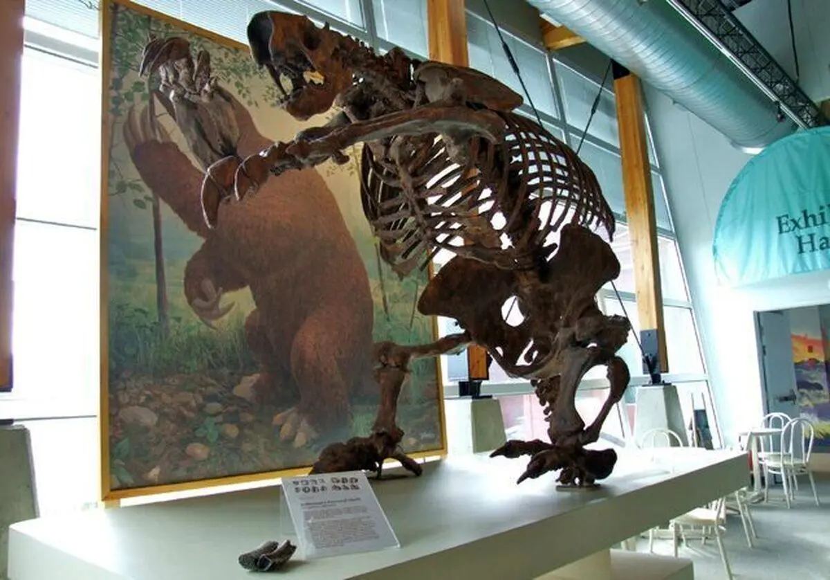 (تصاویر) از سوسک هیتلر تا هزارپای تیلور سویفت/ جنجال انتخاب نام‌ افراد مشهور برای جانوران