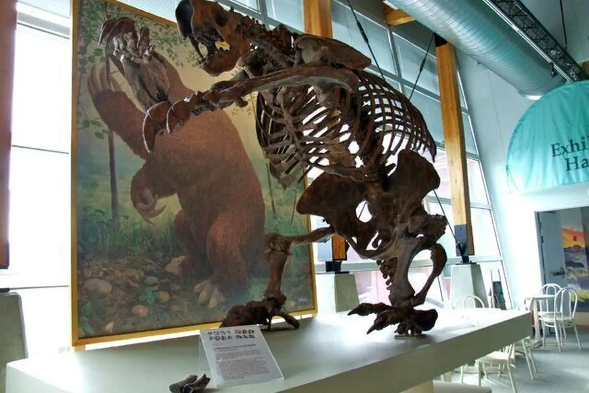 (تصاویر) از سوسک هیتلر تا هزارپای تیلور سویفت/ جنجال انتخاب نام‌ افراد مشهور برای جانوران