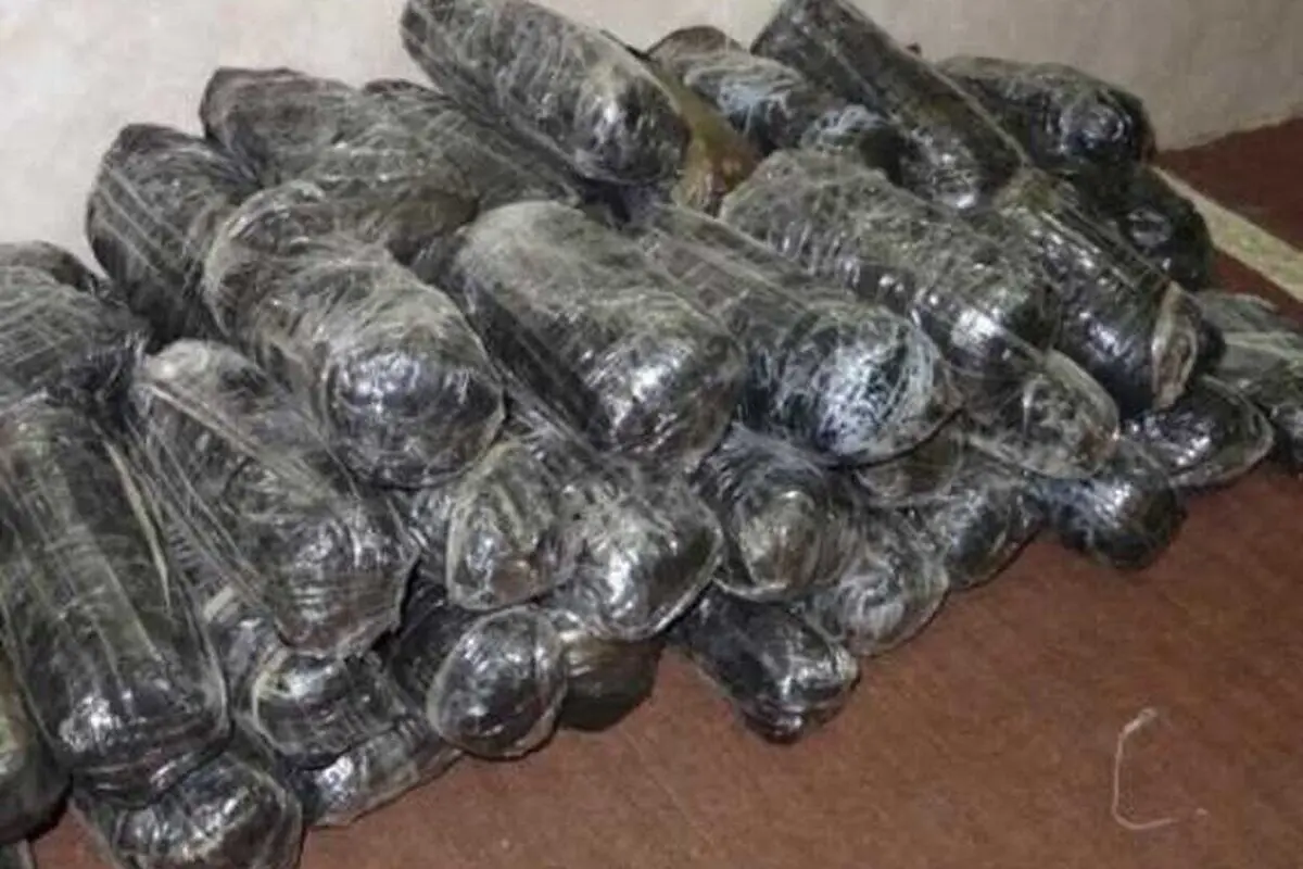(ویدئو) جاساز باورنکردنی ۸۰۰ کیلو تریاک