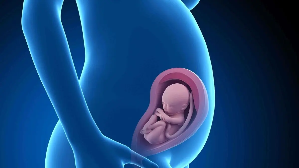 نگرانی از تکان خوردن جنین در رحم؛ با آی‌وی‌اف باید استراحت مطلق داشته باشم؟