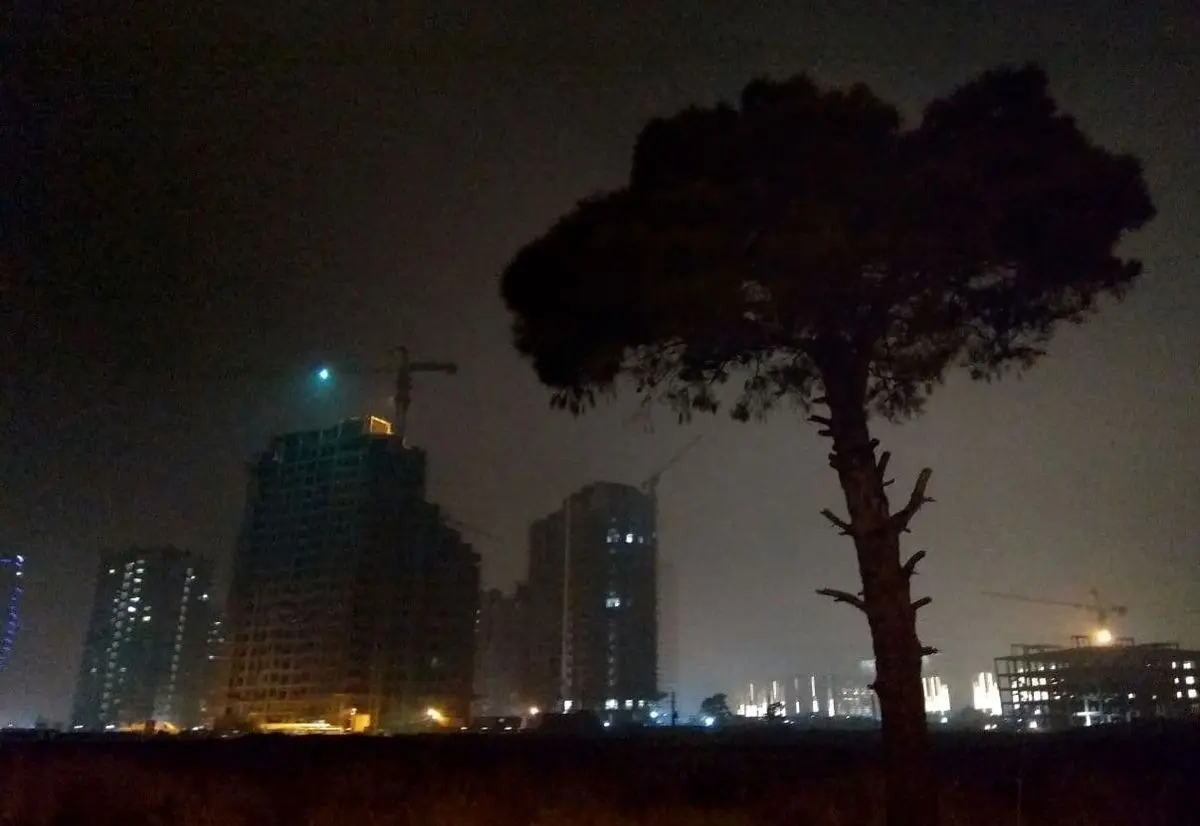 تصویری از قتل عام درختان درخیابان جردن