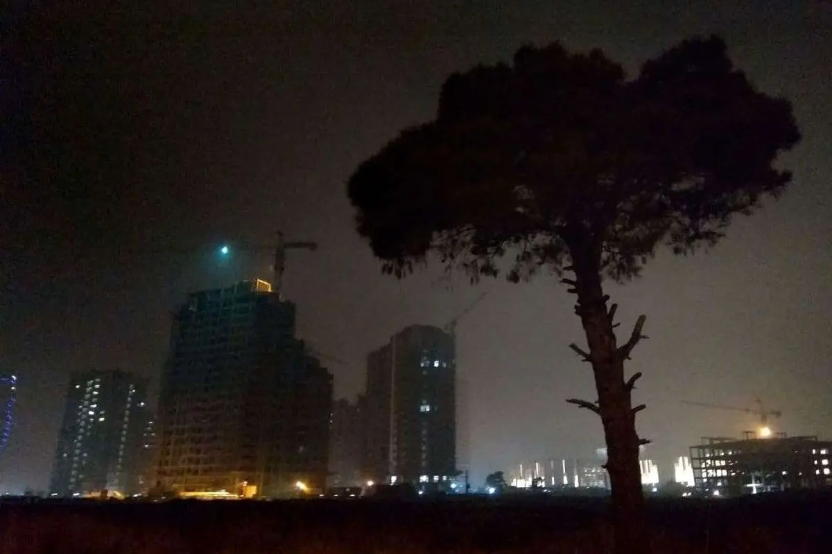 تصویری از قتل عام درختان درخیابان جردن