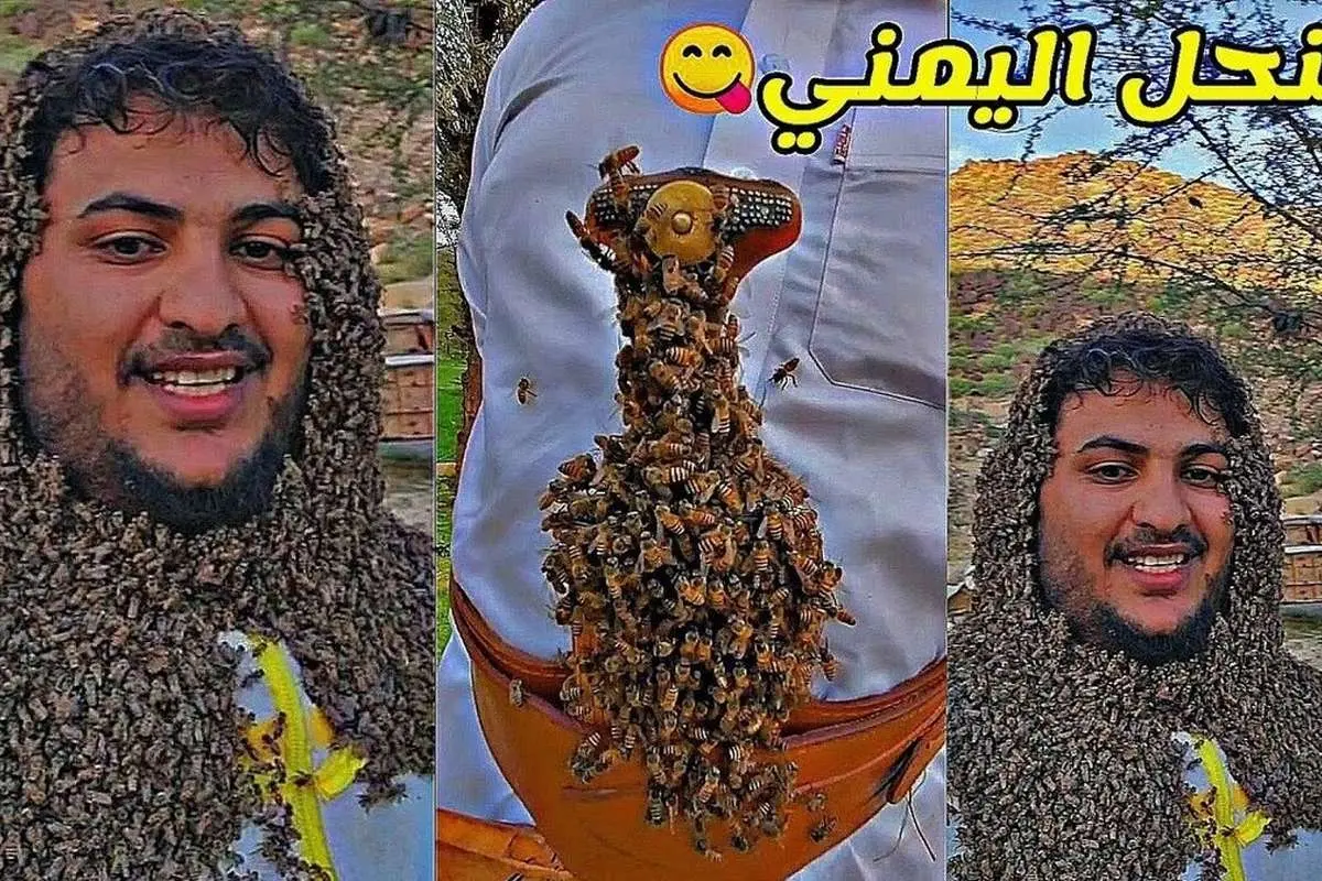 (ویدئو) هزاران زنبور روی سر و شانه جوان یمنی!