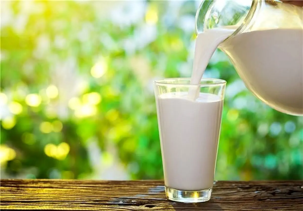 شیر و شکر باز هم گران می‌شوند؟