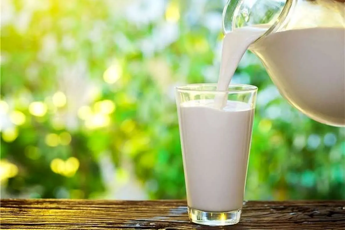 شیر و شکر باز هم گران میشوند؟
