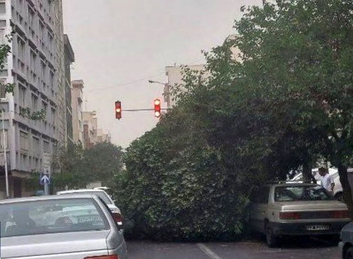 (ویدئو) توفان در تهران