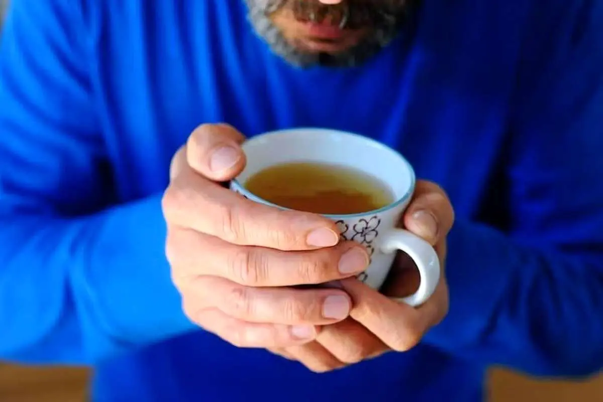 فلاوانول‌ها برای حافظه و قلب مفیدند؛ کدام مواد غذایی فلاوانول دارند؟