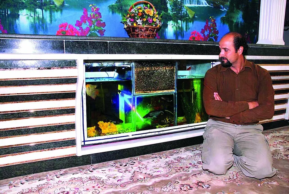 در آکواریوم این مرد به جای ماهی زنبور‌های عسل نگهداری می‌شوند